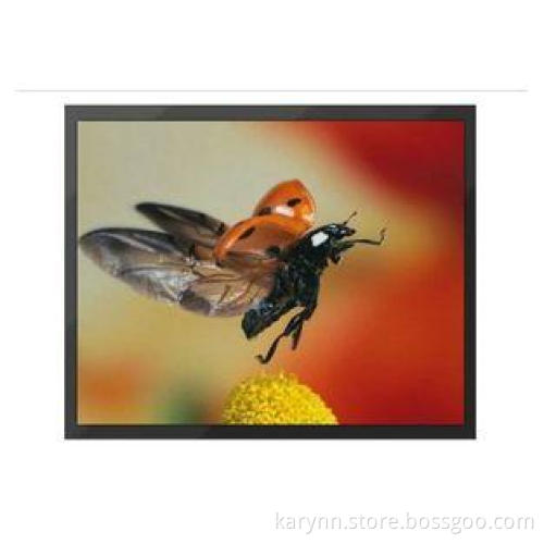 Wall Mount Professional CCTV Monitor Built In VGA / BNC / H